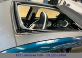 Renault Twingo Intens Electric 21,4kWh *Schiebedach* PDC - Renault: 21