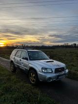 Subaru Forester 2.0 XT Turbo Automatik Turbo - Subaru Forester Turbo mit Benzin-Antrieb