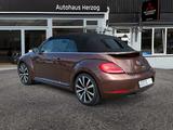 Volkswagen BEETLE CABRIO 2.0 TDI Allstar Plus Automatik - Volkswagen Beetle: Auto