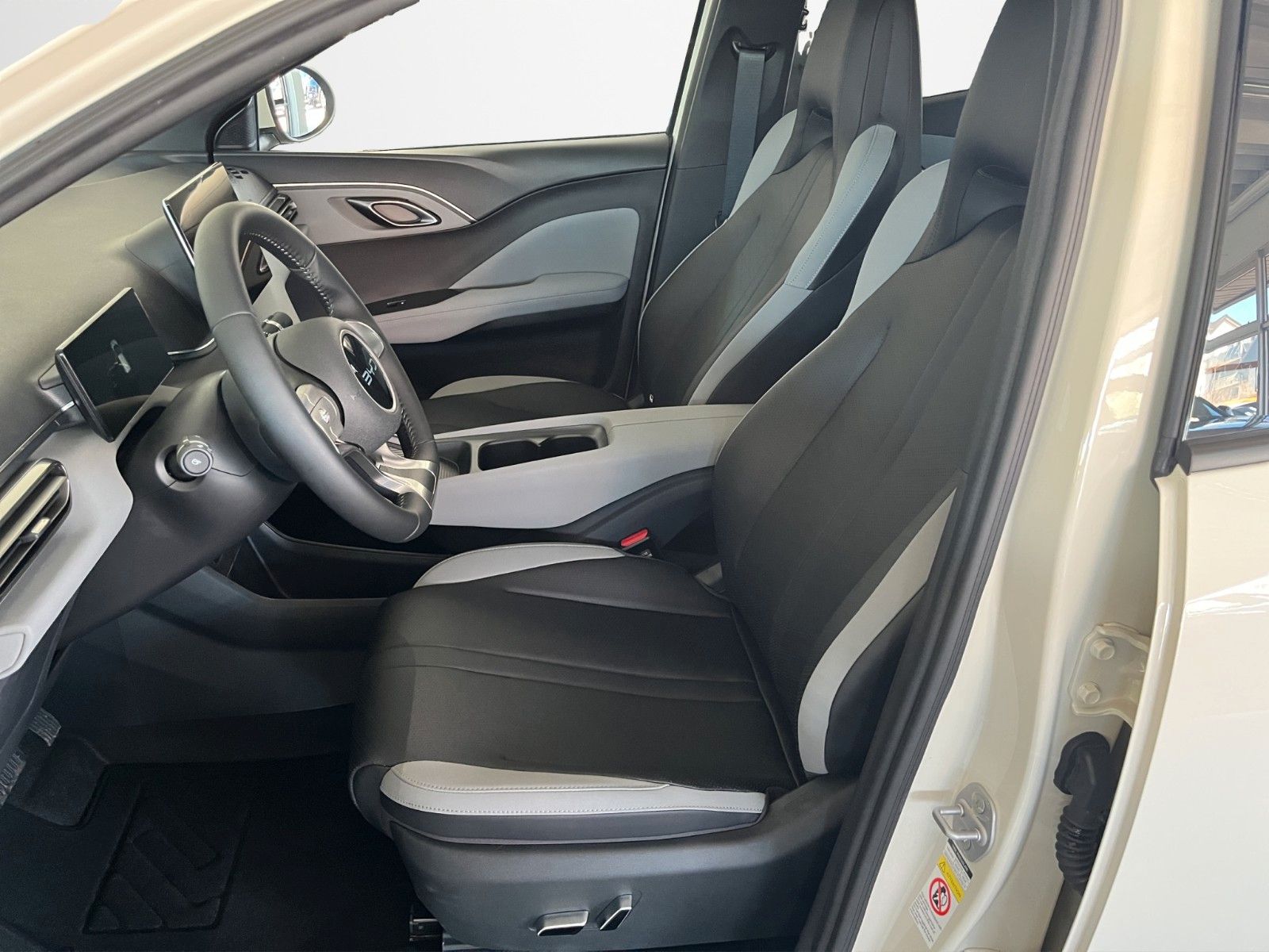 BYD DOLPHIN SURF