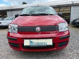 Fiat Panda 1.2 8V MyLive - Fiat Panda: My