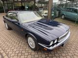 Jaguar XJ6 3.2 Business X 300 - Jaguar XJ6: Limousine