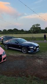 Ford Mustang GT 5.0 EU/Unfallfrei/Voll - Ford Mustang in Hamm