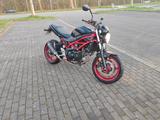 Suzuki SV 650 Schwarz Rot - Bodis Auspuff - SUZUKI 650 R
