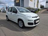 Fiat Panda Pop - Fiat Panda in Stuttgart
