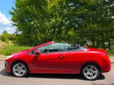 Peugeot 308 CC Cabrio-Coupe Active,TÜV Neu - Peugeot 308 in Nürnberg