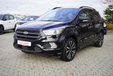 Ford Kuga 1.5 EB ST-Line Sitzheizung Kamera Bi-Xenon - Ford Gebrauchtwagen in Halle