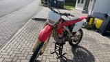 Honda CRF 450X - BJ: 2008 - gepflegte Cross - HONDA CRF 450