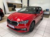 Skoda Fabia Selection Color Concept mit Winterpaket - Skoda Fabia Neuwagen in Bochum