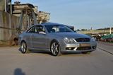 Mercedes-Benz CLK 500 V8 - Avantgarde -gepflegt - Mercedes-Benz CLK 500: Coupe