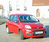 Fiat Panda Pop Abnehm. AHK Klima Zahnriemen - scheckheftgepflegte Fiat New Panda