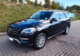 Mercedes-Benz ML 350 BlueTEC 4MATIC | 360° Kamera | Distronic  - Mercedes-Benz ML 350: Bluetec