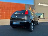 Fiat FIAT PUNTO 1.4 TOP ZUSTAND  TÜV - Fiat Punto aus 2008: 1.4