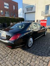 Mercedes-Benz S 350 BlueTEC - - Mercedes-Benz S 350: Bluetec
