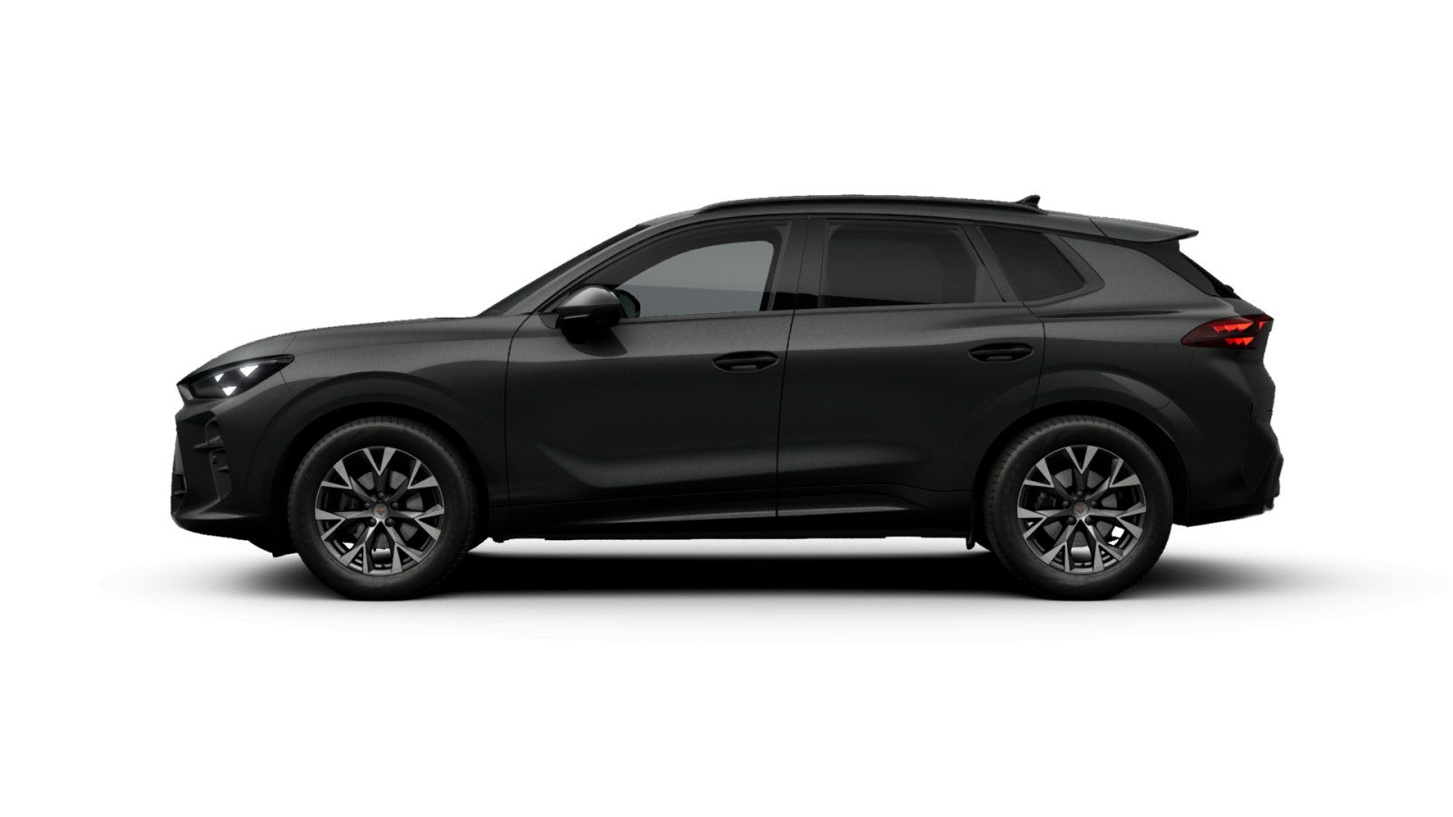 Cupra Terramar - Bild 8
