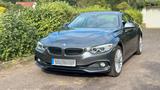 BMW 428i xDrive Coupé Luxury Line Luxury Line - BMW 428: Coupe