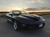 Pontiac Trans Am WS6 Targa mit 6-Gang Schaltung - Pontiac Gebrauchtwagen