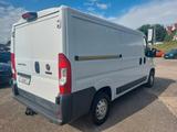 Fiat Ducato Kasten SX L2H1 AHK/Navi/Kamera/Tempomat - Fiat Ducato: L1h2