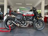 Ducati Scrambler 800 Urban Motard - DUCATI SCRAMBLER URBAN MOTARD