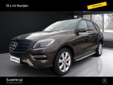 Mercedes-Benz ML 250 BlueTEC 4M PDC SHD SHZ - Mercedes-Benz ML 250 Gebrauchtwagen