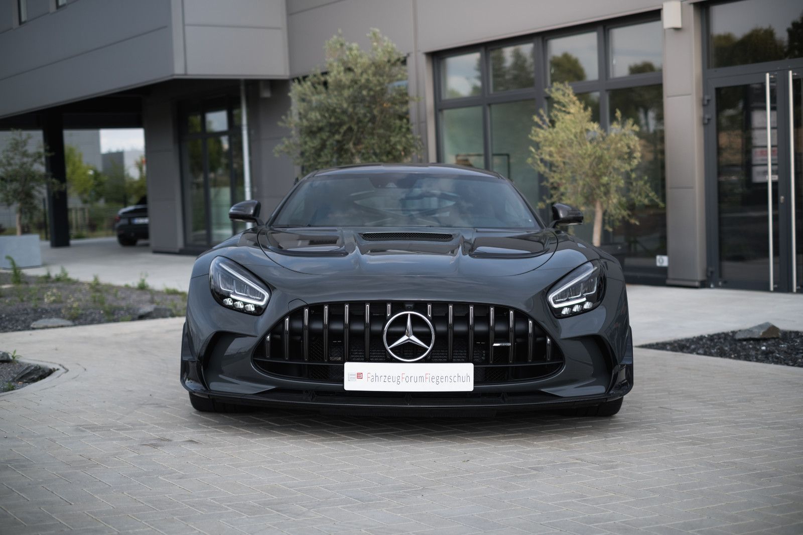 Fahrzeugabbildung Mercedes-Benz AMG GT - Black Series, Carbon, SONDERFARBE
