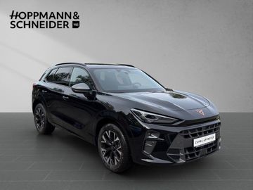 Cupra Terramar - 7