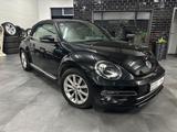 Volkswagen Beetle Cabriolet Design BMT/Start-Stopp - Volkswagen Beetle mit Diesel-Antrieb: Automatik