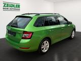 Skoda Fabia Combi 1.0 TSI Style ALU*KA*PDC*RFK*SHZ*WKR - Skoda Fabia: Grün
