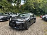 Lexus UX 300h F Sport Design ACC+LED+Navi+SHZ+2xKlima - Lexus UX Jahreswagen