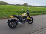Ducati Scrambler 800 Icon im Originalzustand - DUCATI SCRAMBLER ICON
