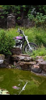 Harley-Davidson Sportster 1200 XL Low  - Jap Frisco - Harley-Davidson Sportster XL 1200 L Low