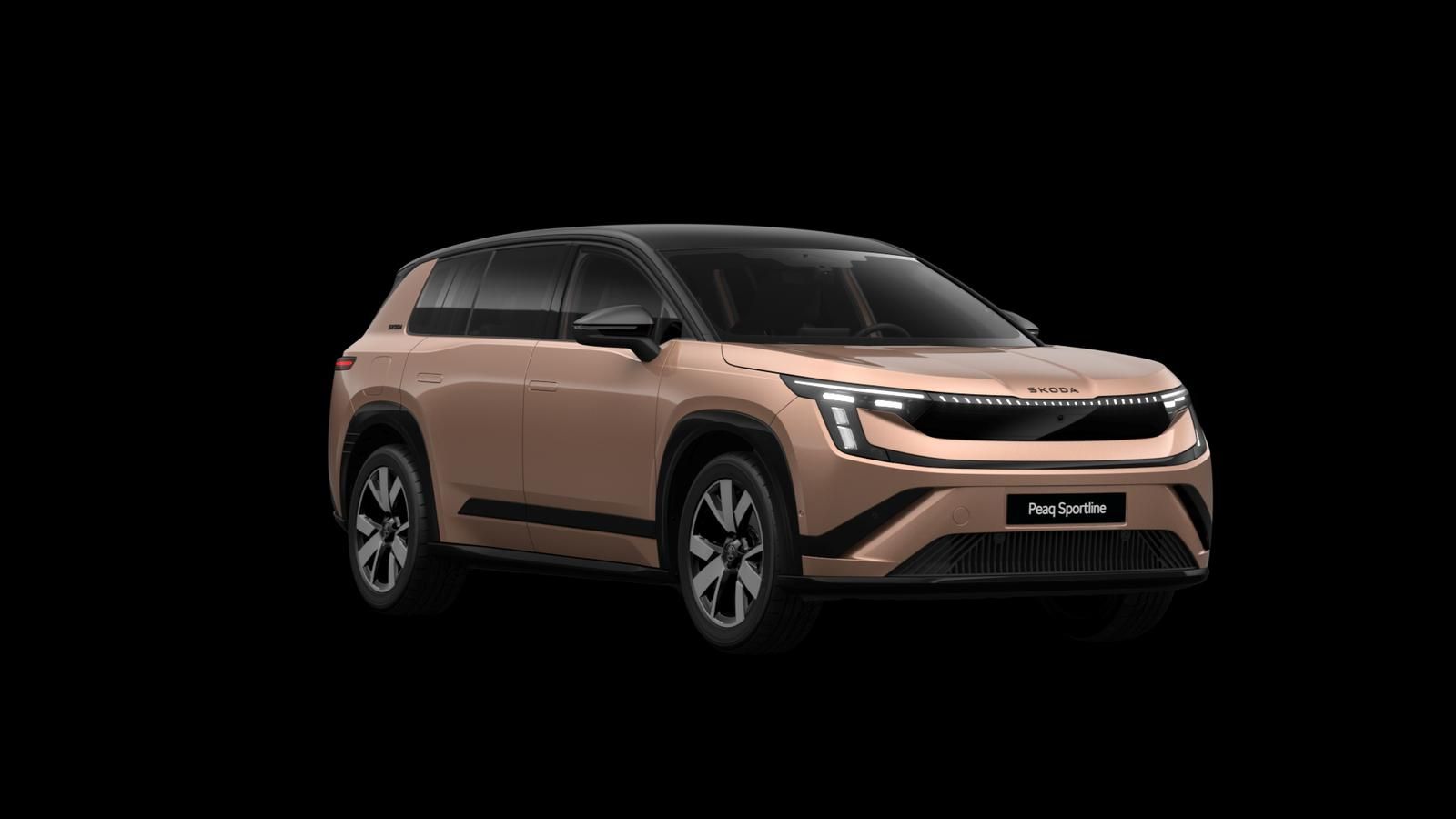 Skoda Andere - Bild 7