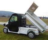 Ligier Pulse 4 Pritsche Elektro Kipper Tageszulassung - Ligier aus 2024