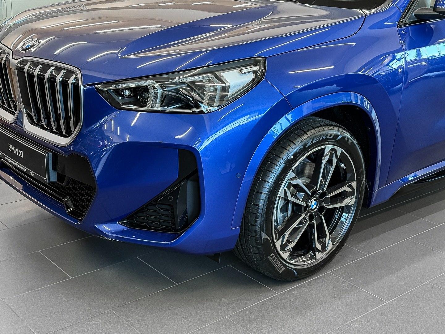 BMW X1 sDrive20i M Sportpaket * Panorama Glasdach * 