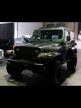 Jeep Eagel yj 4,2 L Bj 1993 Custom - Jeep Wrangler: Yj