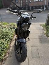 Triumph Trident 660 inkl. Quickshifter+ - TRIUMPH TRIDENT