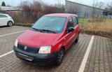 Fiat Panda - Fiat Panda Gebrauchtwagen in Mönchengladbach