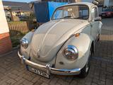 Volkswagen Käfer,6 Volt, sehr guter Zust.,H-Kennz.,Oldtimer - gebrauchte Volkswagen Käfer aus dem Jahr 1970