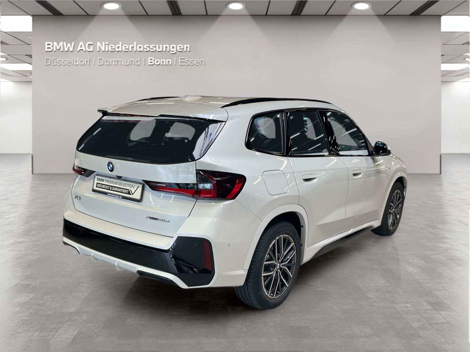 BMW X1 xDrive20d M Sport AHK Driv.Assist Harman K foto 4