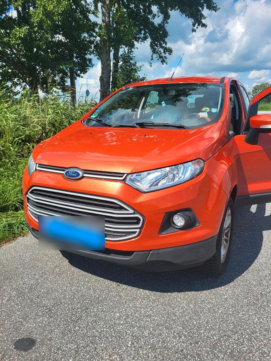 Ford EcoSport 2015 — вигляд ззаду