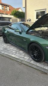 Ford Mustang GT 5.0 Ti-VCT V8 B&O PERFORMANCE PAKET - Ford Mustang in Mainz