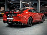 Ford Mustang 5.0 GT 500 Shelby Look Tüv Neu 1.Hand - Ford Mustang aus 2021