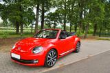 Volkswagen Beetle 2.0 TDI Sport Cabriolet, Navi, Leder, WKR - Volkswagen Beetle Sport mit Diesel-Antrieb