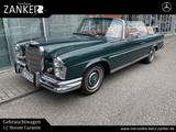 Mercedes-Benz 250 250 SE/C Werkscabriolet - Mercedes-Benz 250: Cabrio
