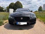 Jaguar XE 20d AWD Portfolio / Head Up / Scheckheft - Jaguar XE Portfolio mit Diesel-Antrieb