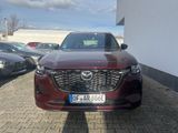 Mazda CX-80 Homura Plus CAHO + 6 Sitzer +LED + Carplay - Mazda: Cx8