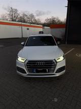 Audi SQ5 3.0 TFSI tiptronic quattro - - weiße Audi SQ5