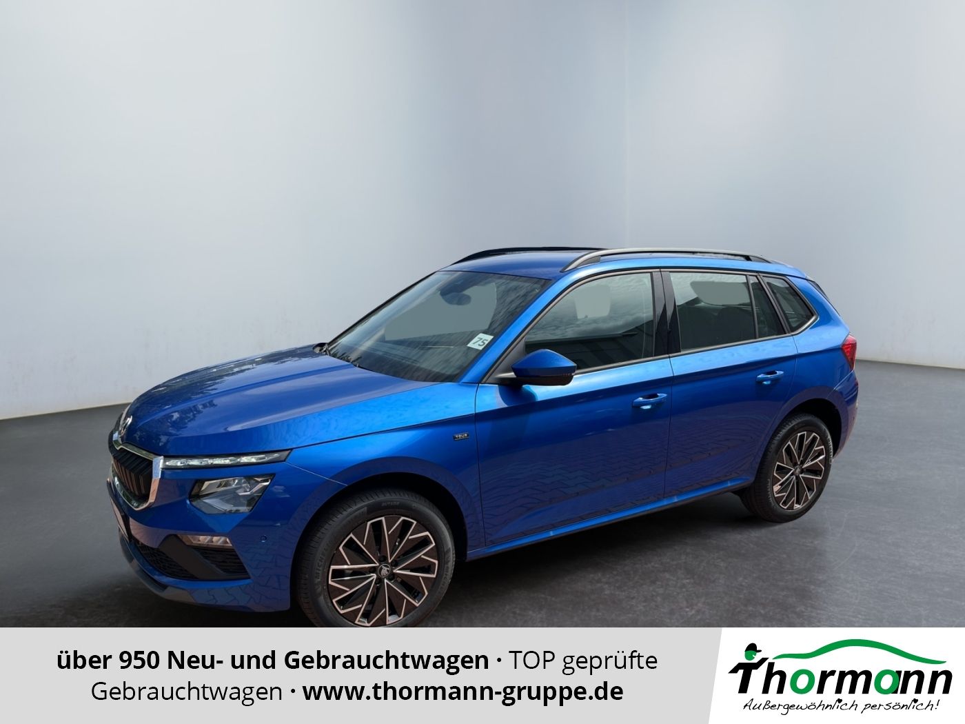 Skoda Kamiq Selection 1.0 TSI DSG ACC SpurH LM LED PDC
