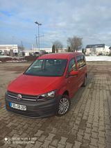 Volkswagen Caddy Maxi - Volkswagen Caddy Maxi: Kombi
