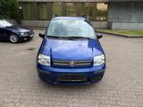 Fiat Panda 1.2 8V Dynamic - gebrauchte Fiat Panda aus dem Jahr 2008